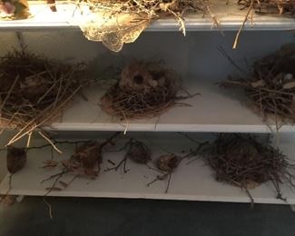 Lots of different decorative nests 