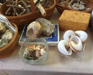 Lots of shells and more in the Guest Bedroom along with corals and shells