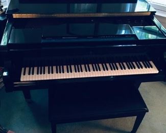 Kimball Viennese classic