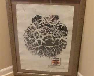 Elephant Footprint Matted and Framed from Victoria Falls, Zambezi, Africa. $95. GR3
