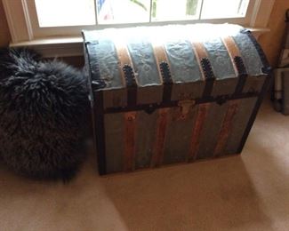 SILVER/GOLD AND BLACK TRUNK