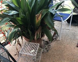 plants and great vintage /retro yard -garden items 