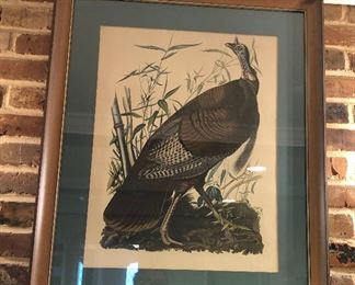 BU1072: John James Audubon Wild Turkey Plate #1 Framed Local Pickup	 $75 
