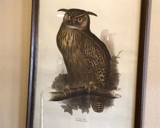 BU1073 Eagle Owl Pint Framed Plate Local Pickup	 $75 
