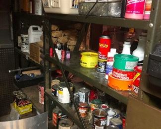 jars of animal oddities preserved in formaldehyde