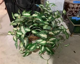 Inv 51 - Decorative Ivy with Basket - $5 