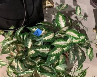 Inv 51- Decorative Ivy with Basket - $5 