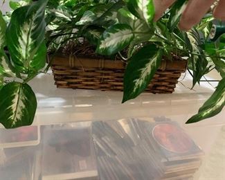 Inv 51 - Decorative Ivy with Basket - $5 