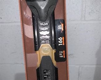 Inv 42 - Ski $100 ea