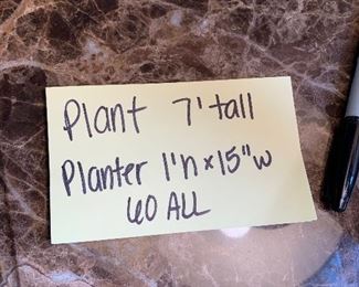 Inv 98 - Plant & Planter - $60 