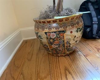 Inv 98 - Plant & Planter - $60 