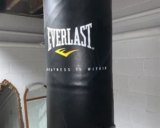 Inv 100- Punching Bag/Stand - $80