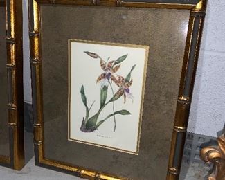 Inv 103 Botanical Pair $80 