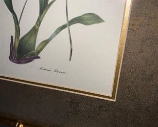 Inv 103 Botanical Pair $80 