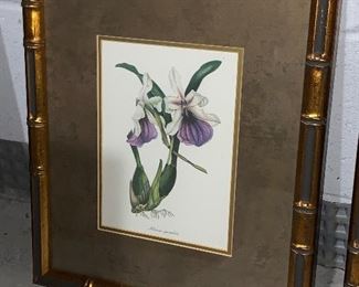 Inv 103 Botanical Pair $80 