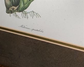 Inv 103 Botanical Pair $80 