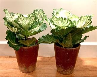 Leaf Decor in Terra Cotta Pots: $14