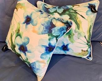 Down Filled Pillows (we actually have three of these): $36