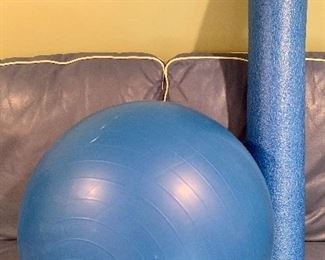 Exercise ball and Foam exercise tube: $6