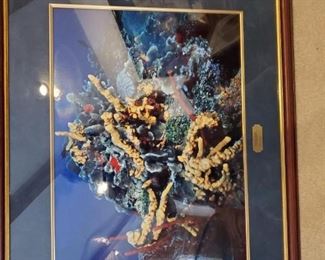 Cozumel Seascape photograph $30