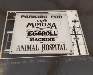 Chris Coffey photograph 37 / 250 Mimosa egg roll $30