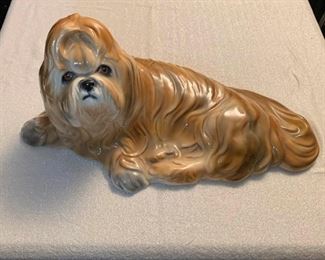Shitzu https://ctbids.com/#!/description/share/405030