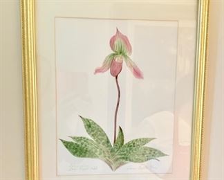 80. Orchid Painting Signed Lauren Baretti (16'' x 20'')	 $ 80.00 