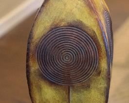 Metal Decor Vase	29x7x7	