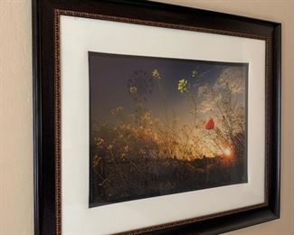 Lg Sunset/Butterfly Framed Art	36x46in	
