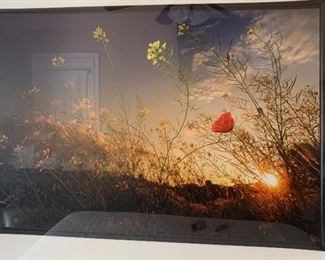 Lg Sunset/Butterfly Framed Art	36x46in	

