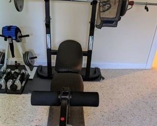 Weight bench and all the weights $200