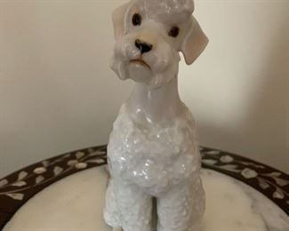 HALF OFF!   $25.00 now, was $50.00.....Lorenz Hutschenreuther Sitting Poodle, Excellent condition with original tag.  6 1/2" tall.  