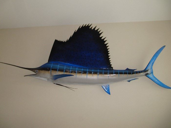 Sailfish fiberglass 10 feet  - stunning!  $1,595 or best offer. Made by Gray Taxidermy and replica of fish caught in Costa Rica