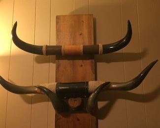 Steer horns.