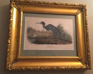 Framed Audubon signed print.