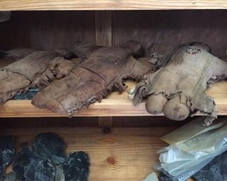 Native American dolls.