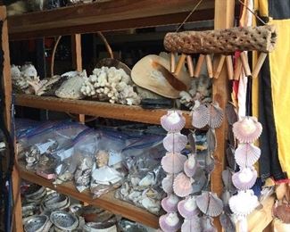 Hundreds of seashells and nautical decor.
