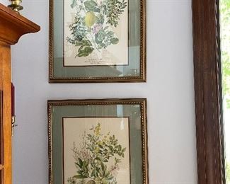 Anne Ophelia Dowden framed botanical prints, numbered and signed
