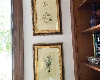 Beautiful antique framed botanicals