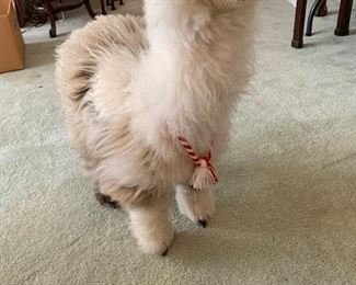 $50 Llama with real Alpaca fur from Peru 
