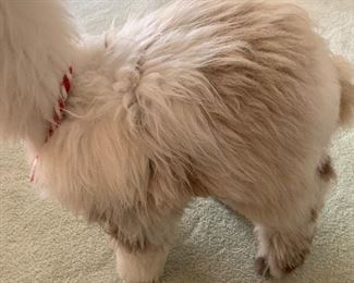 Real Alpaca fur