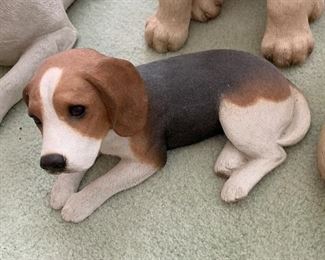 $30 beagle