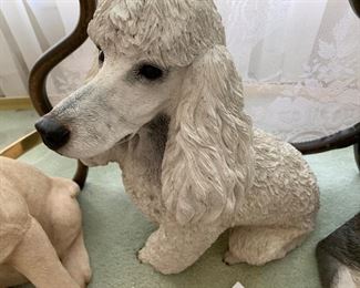 $60 poodle