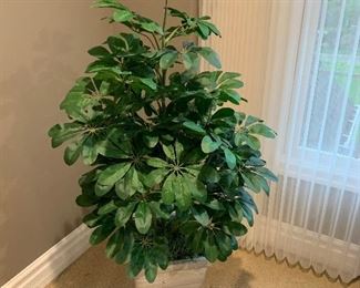Faux plant (52”H) - $30 or best offer