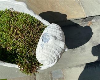 paint loss on nautilus urn
