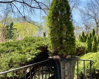 3’ iron urn with arborvitae 350.00