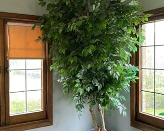 8 ft. artificial ficus tree 100.00