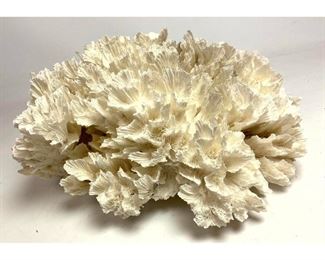 Lot 1076 Large Piece Lace Coral