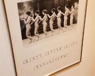 #305 arthur Allen framed print 18X 22 $25