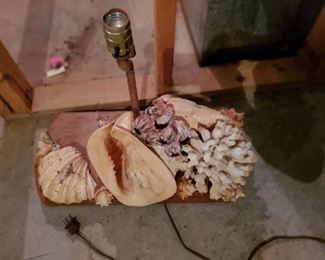 Shell lamp